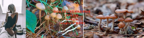 мефедрон Алзамай