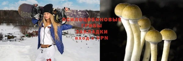 гидропоника Алексеевка